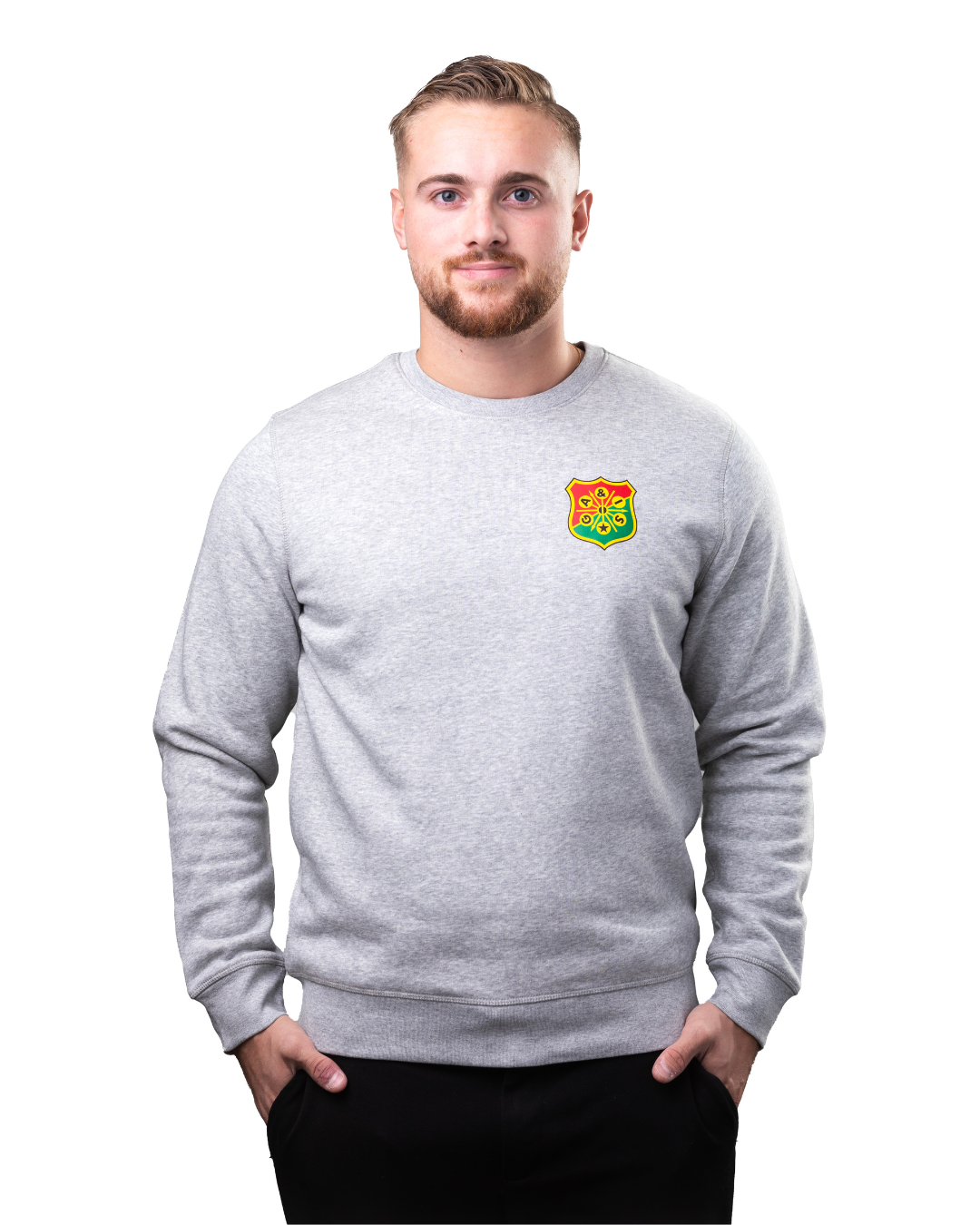 Sweatshirt-Litet-Klubbemblem-Gra-model